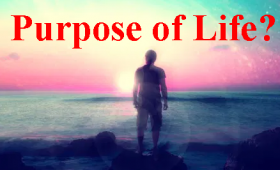 What is our Purpose in Life and Why were We Created?