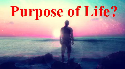 What is our Purpose in Life and Why were We Created?