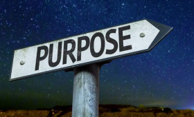 Our Purpose in Life